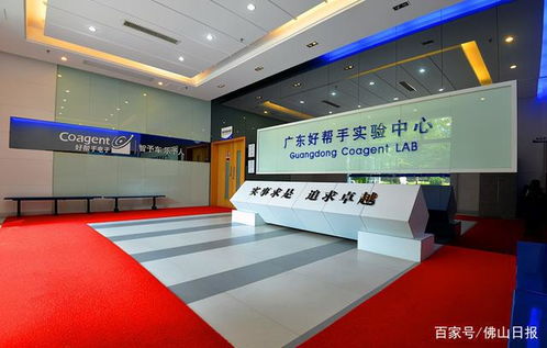 佛山雙星閃耀 兩大孵化器憑何躋身“國家隊”，探秘影視美術道具置景服務的創新之路