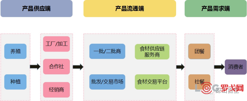 2025年生鮮食品供應鏈行業趨勢研究 直通消費終端的食品流通新生態